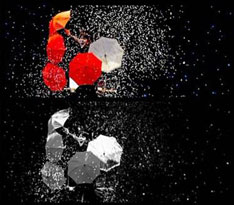 魔術(shù)師—嚴(yán)革